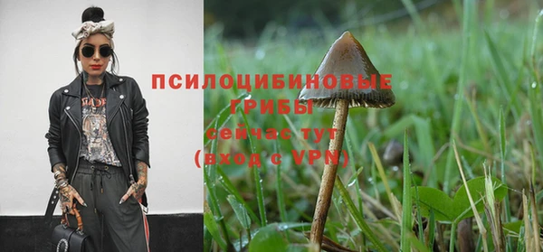 гидра Верхнеуральск