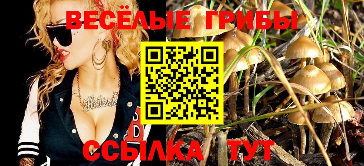 Псилоцибиновые грибы ЛСД Белгород